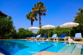 Villa with a private pool and mountain view in a quiet area next to fores